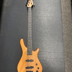 Stadium 5 String Bass Guitar